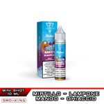 Fizz Berry Mango Flavour Bar Mix&vape 10+10 Suprem-E Mango Ice Mirtillo Lampone